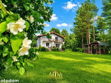 Ponik gm. Janów | niezwykła nieruchomość w środku lasu