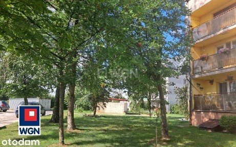 Przytulne mieszkanie z klimatyzacją wśród zieleni.