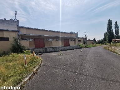Lokal użytkowy na wynajem z rampą i windą | Dostępny od ręki |