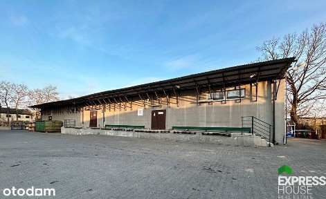 Budynek 800m2 do adaptacji ul. Kopernika oś. Bema