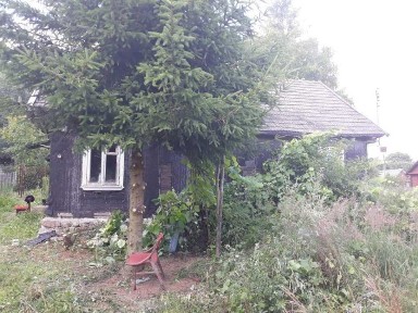 Sukowicze, Siedlisko, Puszcza, szlak tatarski, Wzgórza Sokólskie