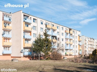 Jasne, przestronne 65.50 m2 - otoczone zielenią!