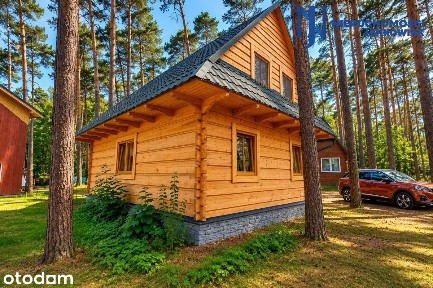 Domek nad Jeziorem Błędno | Las i plaża