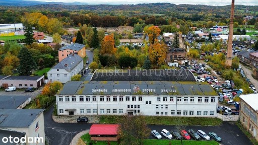 Ignacego Daszyńskiego, Mysłakowice, karkonoski, dolnośląskie