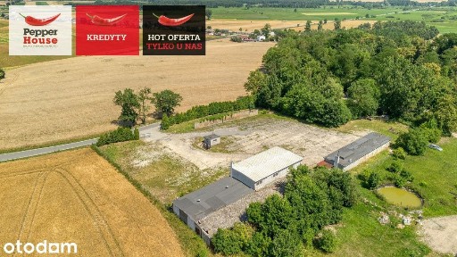 Młodocin, Barcin, żniński, kujawsko-pomorskie
