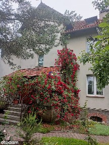 4 mieszkania pod wynajem