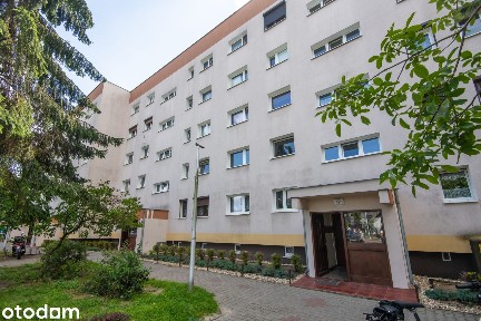 3 pokojowe mieszkanie z oddzielną kuchnią na sprzedaż w Kościanie.