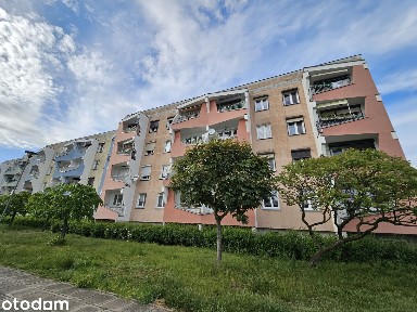 Komfortowe mieszkanie / 3 pokoje / 51,7 m2 / I piętro / Pniewy