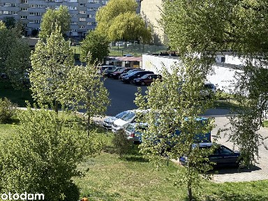 Przestronne 3 pokoje z dużym potencjałem, świetna lokalizacja!