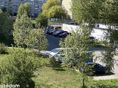 Przestronne 3 pokoje z dużym potencjałem, świetna lokalizacja!