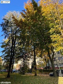Osiedle Kopernika, Bielsko-Biała, śląskie