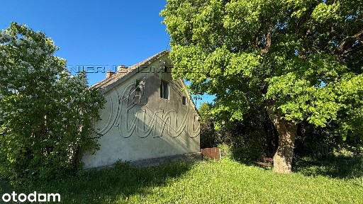 Świetlino, Łęczyce, wejherowski, pomorskie