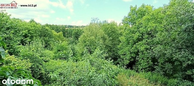 dom wolnostojący/ zieleń/ 17a działka/ Koszutki