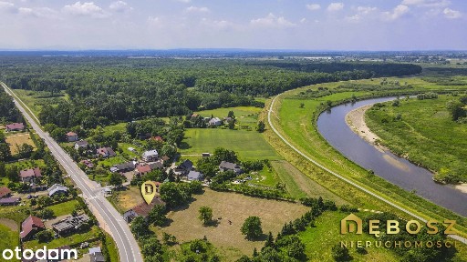 Ispina | Wyjątkowa Rezydencja / Stara Leśniczówka - 316 m2 / 1.09 ha !