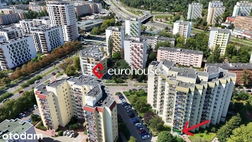 Lokal z głownym najemcą Żabka na sprzedaż