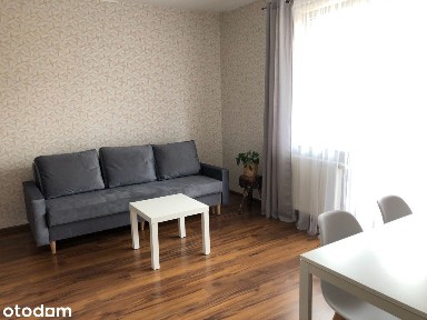 Nowe / ciche / jasne / po pierwszym najmie