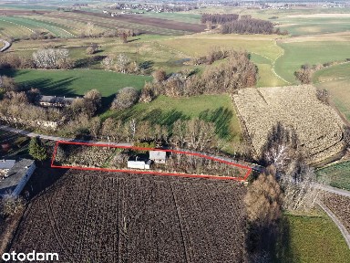 Działka z domem i zabudowaniami 5 km od Ćmielowa