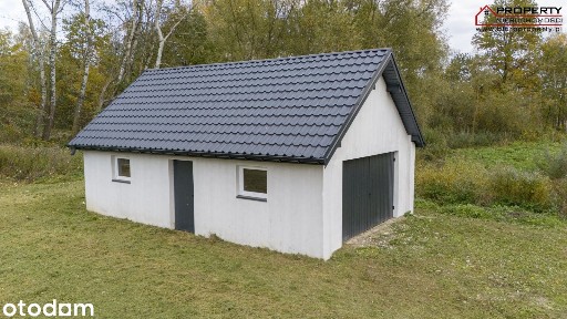 Harmoniny, Nowy Korczyn, buski, świętokrzyskie
