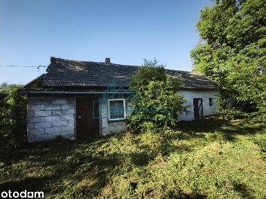 Siedlisko z 5,24 ha ziemi| Skoczylasy|gmina Kiełczygłów