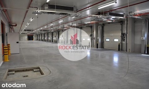Magazyn Łódź 3931 m2 na wynajem - 0% prowizji