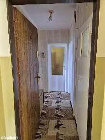 Mieszkanie 2-pokojowe z balkonem w Kaliszu w cichej i zielonej okolicy