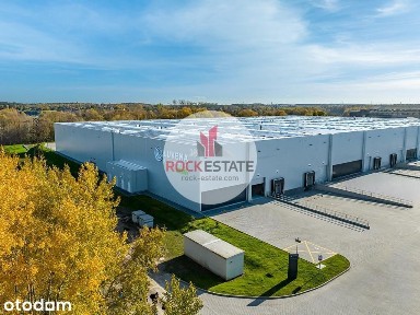 Luboń magazyn 4057 m2 na wynajem bez koszt. eksp