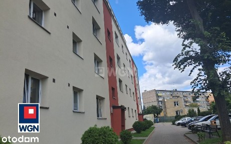 Mieszkanie, 50,40 m², Rypin