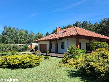 Atrakcyjny dom w otoczeniu lasu na działce 1500 m2 - Prażuchy Nowe