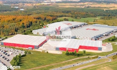 Magazyn 12 tyś. m2 Swarożyn - 0% prowizji