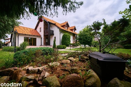Płock, mazowieckie