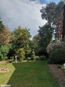 Dom 280m2 na słonecznej działce ze starodrzewiem (1280m2) BEZ AGENCJI