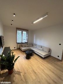 Mieszkanie do wynajęcia 2 pokoje | 45 m² | Wysoki standard | Norwida
