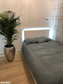 wynajmę mieszkanie 58 m² w Katowicach dz. Śródmieście/Dolina 3 Stawów