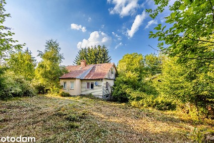 Dom z potencjałem na 14,70 ar działki - Brzeziny
