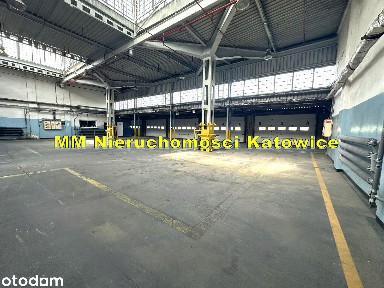 Pogoń, Sosnowiec, śląskie
