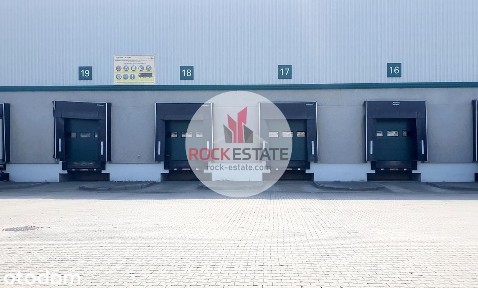 Magazyn 743 m2 m2 w Chorzowie od zaraz - 0%