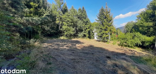 Kobielnik, Wiśniowa, myślenicki, małopolskie