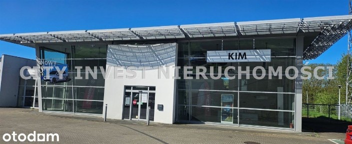 Lokal użytkowy, 1 800,97 m², Świebodzin