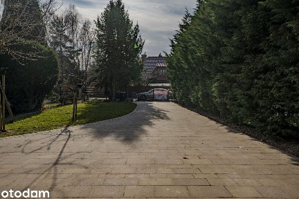 Willla z ogromnym potencjałem - Polecamy