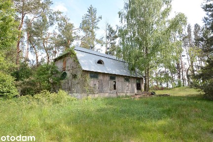 Podlasie, urocze siedlisko ze stajnią