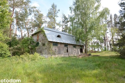 Podlasie, urocze siedlisko ze stajnią
