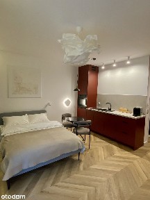 Kawalerka premium koło Renomy (coworking, taras, bez pośredników)