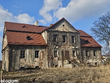 UNIKATOWY DWÓR W PALOWICACH NA SPRZEDAŻ