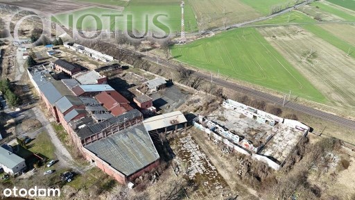 teren 6,6 ha, dawna cukrownia | Chojnów