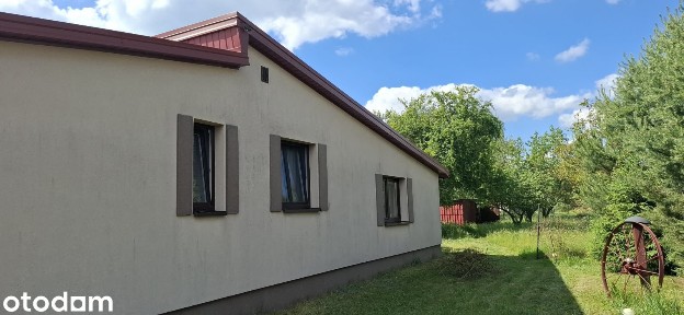 Dom z kwitnącym sadem i przytulnym wnętrzem
