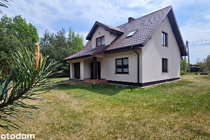Budy Borowickie, Bodzanów, płocki, mazowieckie