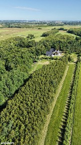 Wyjątkowe siedlisko | 4 ha prywatnego świata | Gałęzinowo k. Ustki