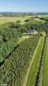 Wyjątkowe siedlisko | 4 ha prywatnego świata | Gałęzinowo k. Ustki