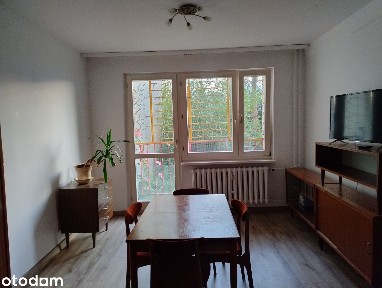 Wynajmę mieszkanie w cichej, pełnej zieleni lokalizacji