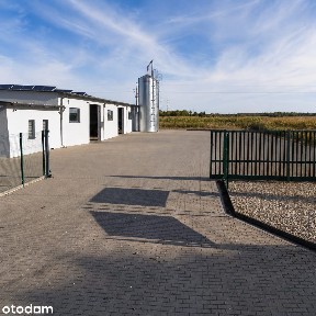 Hala magazynowa 600 m² z parkingiem i zabezpieczeniami